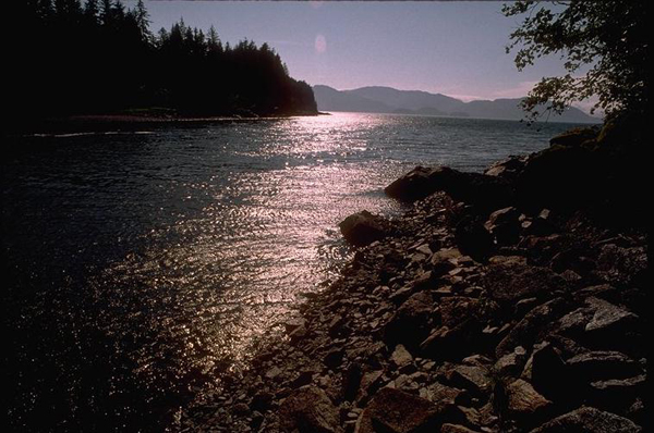 Alaska River